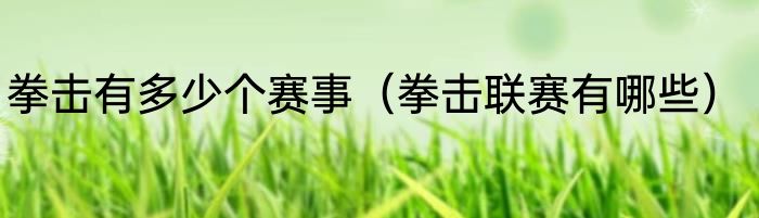 拳击有多少个赛事（拳击联赛有哪些）