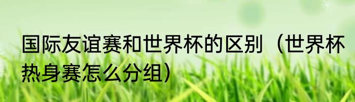 国际友谊赛和世界杯的区别（世界杯热身赛怎么分组）