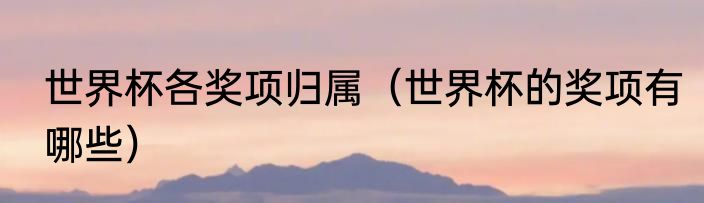 世界杯各奖项归属（世界杯的奖项有哪些）