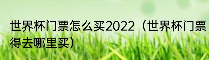 世界杯门票怎么买2022（世界杯门票得去哪里买）
