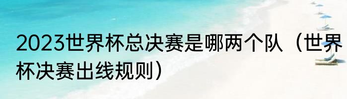 2023世界杯总决赛是哪两个队（世界杯决赛出线规则）