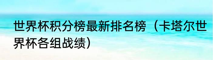世界杯积分榜最新排名榜（卡塔尔世界杯各组战绩）