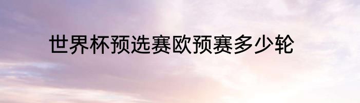 世界杯预选赛欧预赛多少轮