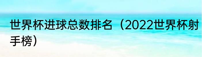 世界杯进球总数排名（2022世界杯射手榜）