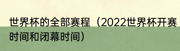 世界杯的全部赛程（2022世界杯开赛时间和闭幕时间）