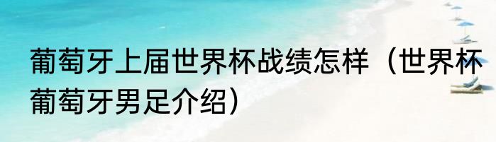 葡萄牙上届世界杯战绩怎样（世界杯葡萄牙男足介绍）