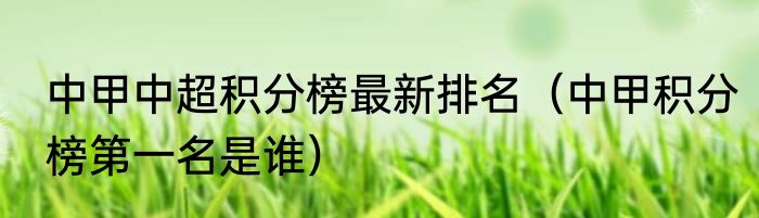 中甲中超积分榜最新排名（中甲积分榜第一名是谁）