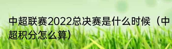 中超联赛2022总决赛是什么时候（中超积分怎么算）