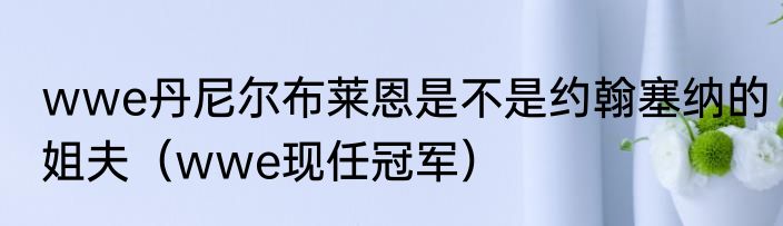 wwe丹尼尔布莱恩是不是约翰塞纳的姐夫（wwe现任冠军）