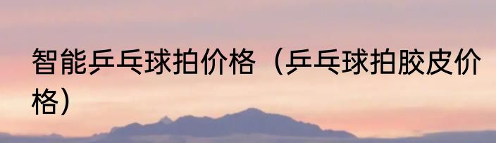 智能乒乓球拍价格（乒乓球拍胶皮价格）