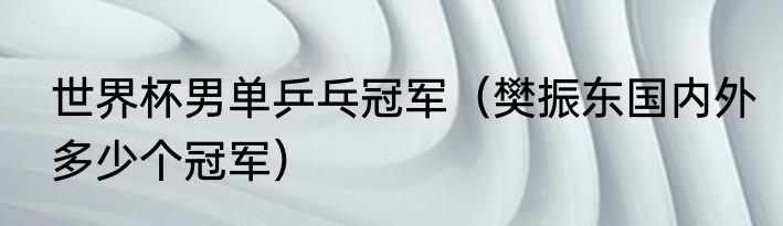 世界杯男单乒乓冠军（樊振东国内外多少个冠军）