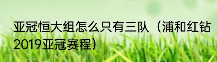 亚冠恒大组怎么只有三队(浦和红钻2019亚冠赛程)