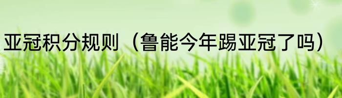 亚冠积分规则（鲁能今年踢亚冠了吗）