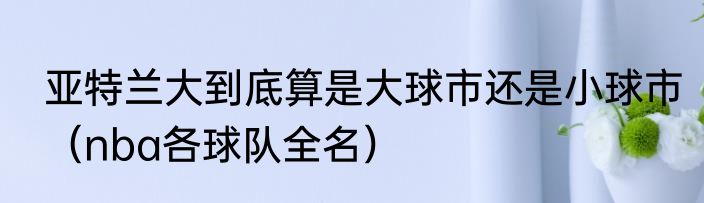 亚特兰大到底算是大球市还是小球市（nba各球队全名）