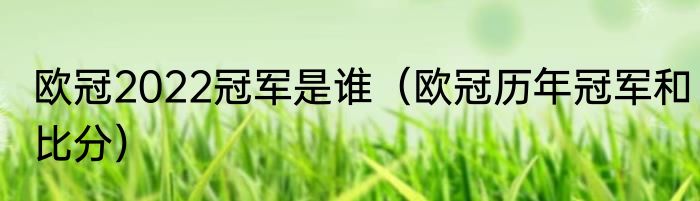 欧冠2022冠军是谁（欧冠历年冠军和比分）