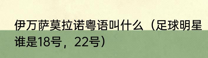 伊万萨莫拉诺粤语叫什么（足球明星谁是18号，22号）