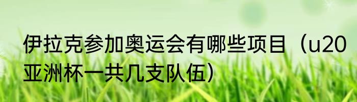 伊拉克参加奥运会有哪些项目（u20亚洲杯一共几支队伍）