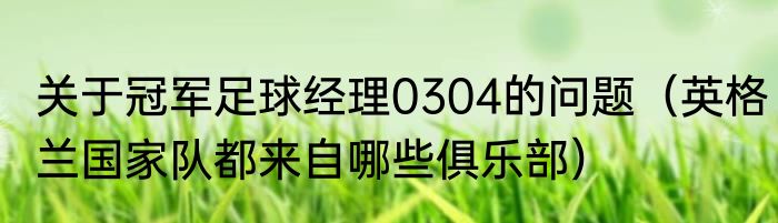 关于冠军足球经理0304的问题（英格兰国家队都来自哪些俱乐部）