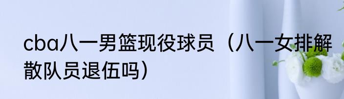 cba八一男篮现役球员（八一女排解散队员退伍吗）