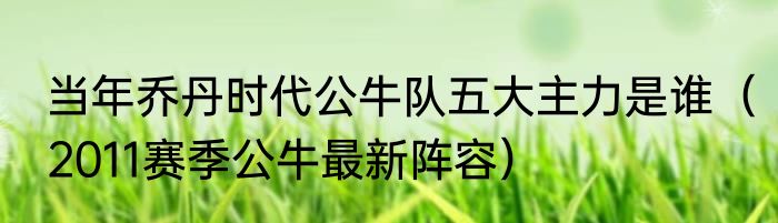 当年乔丹时代公牛队五大主力是谁（2011赛季公牛最新阵容）