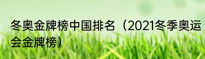 冬奥金牌榜中国排名（2021冬季奥运会金牌榜）