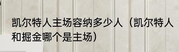 凯尔特人主场容纳多少人（凯尔特人和掘金哪个是主场）
