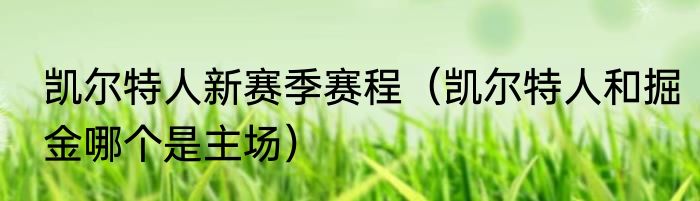 凯尔特人新赛季赛程（凯尔特人和掘金哪个是主场）