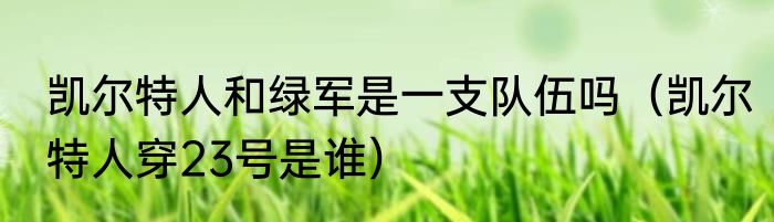 凯尔特人和绿军是一支队伍吗（凯尔特人穿23号是谁）