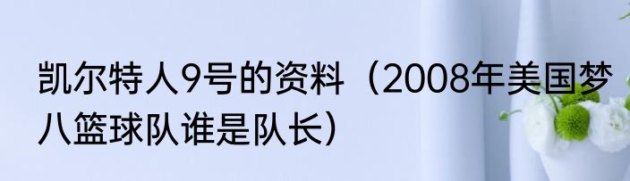 凯尔特人9号的资料（2008年美国梦八篮球队谁是队长）