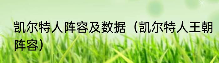 凯尔特人阵容及数据（凯尔特人王朝阵容）