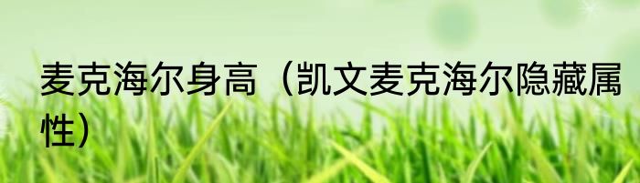 麦克海尔身高（凯文麦克海尔隐藏属性）