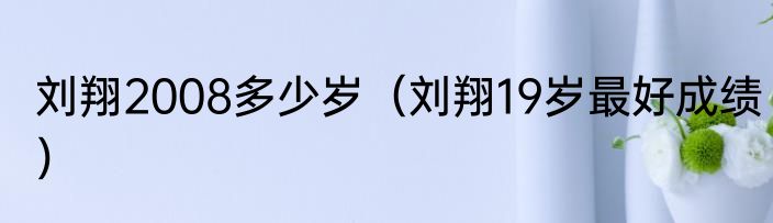 刘翔2008多少岁（刘翔19岁最好成绩）