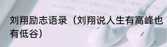 刘翔励志语录（刘翔说人生有高峰也有低谷）