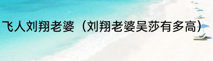 飞人刘翔老婆（刘翔老婆吴莎有多高）