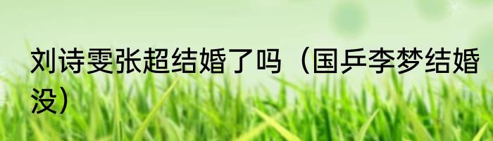 刘诗雯张超结婚了吗（国乒李梦结婚没）