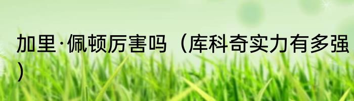 加里·佩顿厉害吗（库科奇实力有多强）