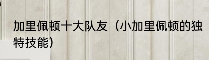 加里佩顿十大队友（小加里佩顿的独特技能）