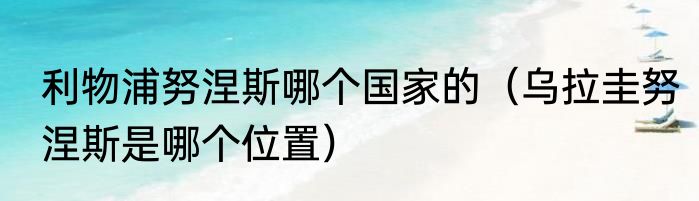 利物浦努涅斯哪个国家的（乌拉圭努涅斯是哪个位置）