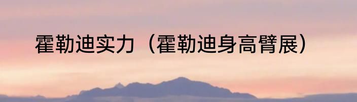 霍勒迪实力（霍勒迪身高臂展）