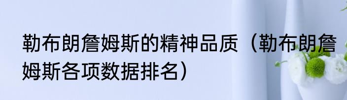 勒布朗詹姆斯的精神品质（勒布朗詹姆斯各项数据排名）