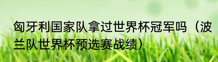 匈牙利国家队拿过世界杯冠军吗（波兰队世界杯预选赛战绩）