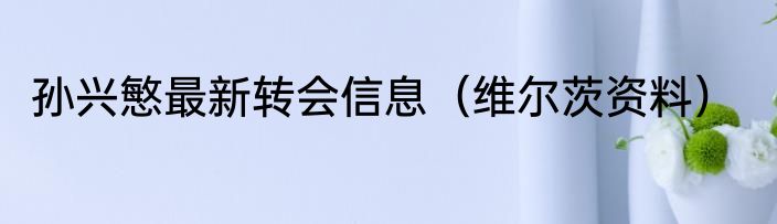孙兴慜最新转会信息（维尔茨资料）