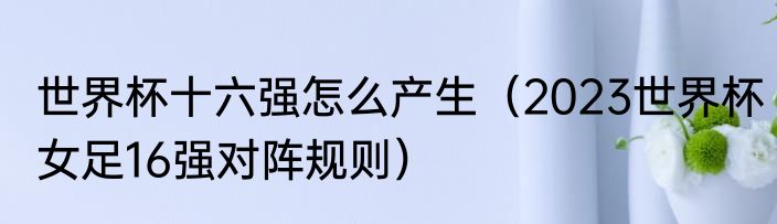 世界杯十六强怎么产生（2023世界杯女足16强对阵规则）