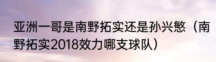 亚洲一哥是南野拓实还是孙兴慜（南野拓实2018效力哪支球队）