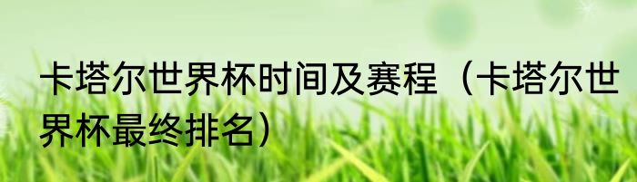 卡塔尔世界杯时间及赛程（卡塔尔世界杯最终排名）