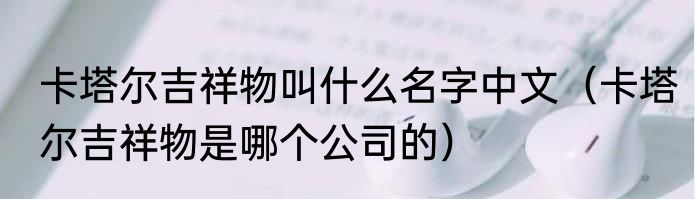 卡塔尔吉祥物叫什么名字中文（卡塔尔吉祥物是哪个公司的）