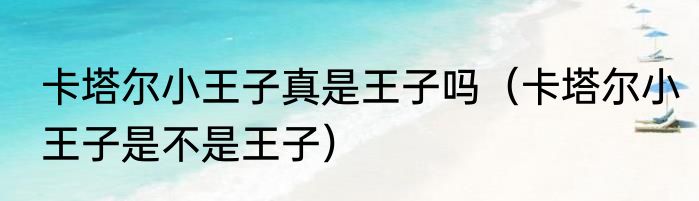 卡塔尔小王子真是王子吗（卡塔尔小王子是不是王子）