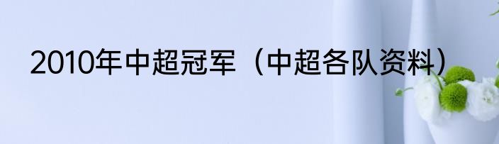 2010年中超冠军（中超各队资料）