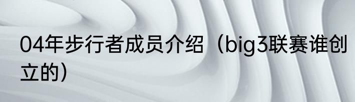 04年步行者成员介绍（big3联赛谁创立的）