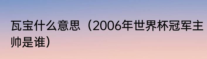 瓦宝什么意思（2006年世界杯冠军主帅是谁）